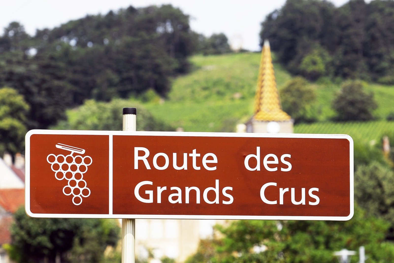 Route des Grands Crus: de mooiste wijnroute van Bourgondië